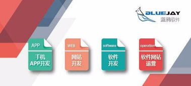 昆明软件开发与App开发 专业技术驱动的创新之道